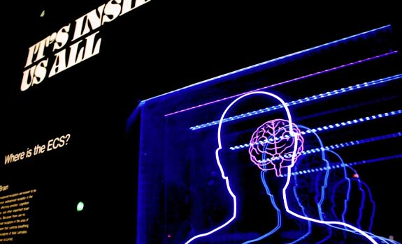 digital exhibit of the human brain