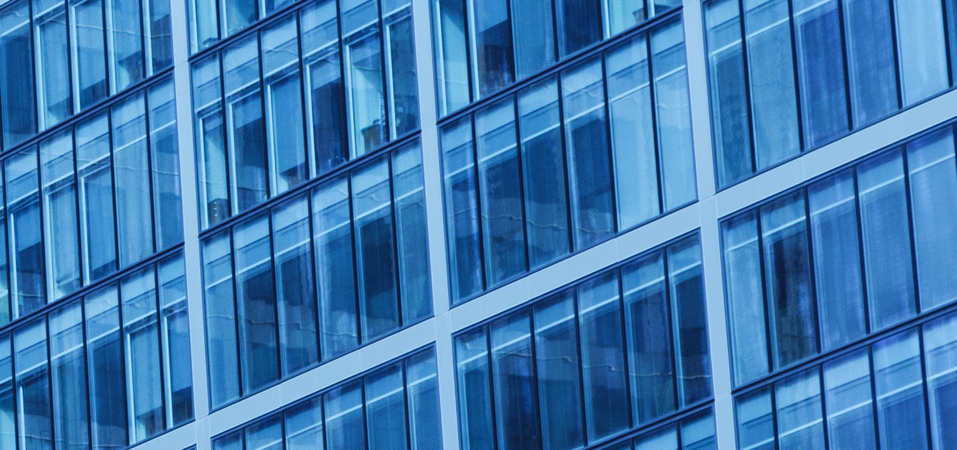 business leadership master’s degree