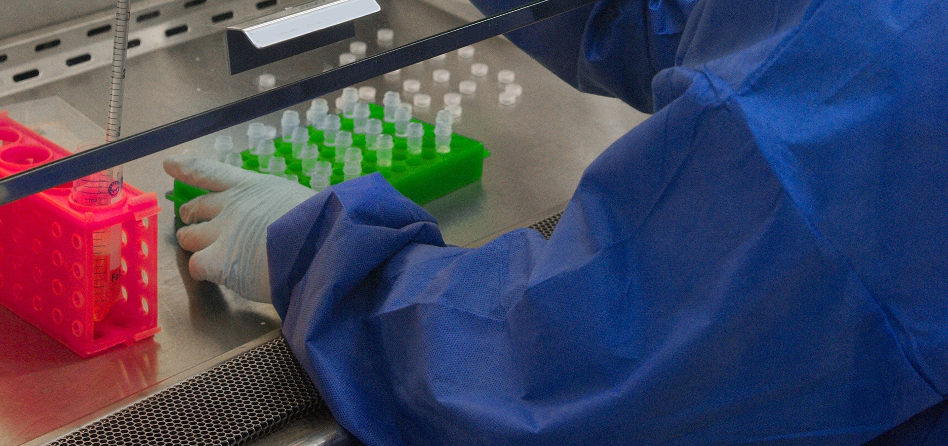 masters in public health nursing