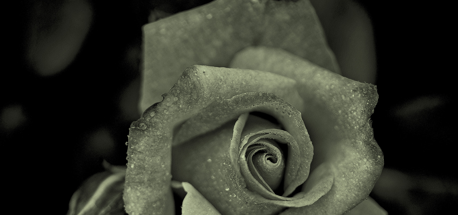 funeral service degree program connecticut