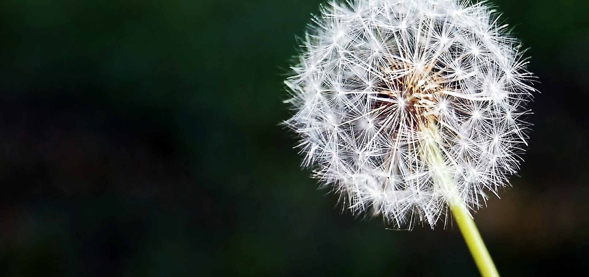 benefits of reggio emilia