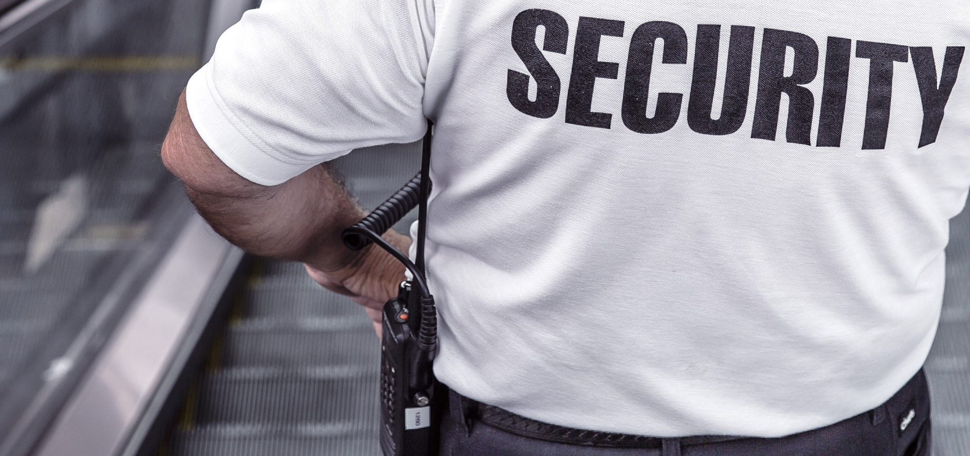 homeland security and criminal justice degrees in ct