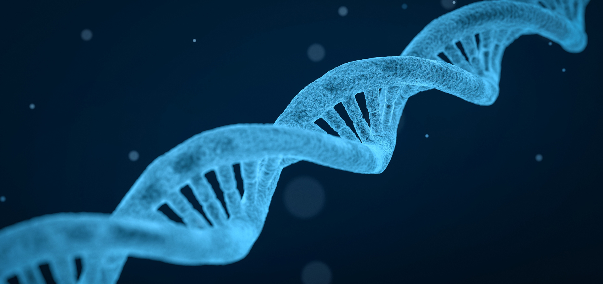 bsn degree for non-nurses