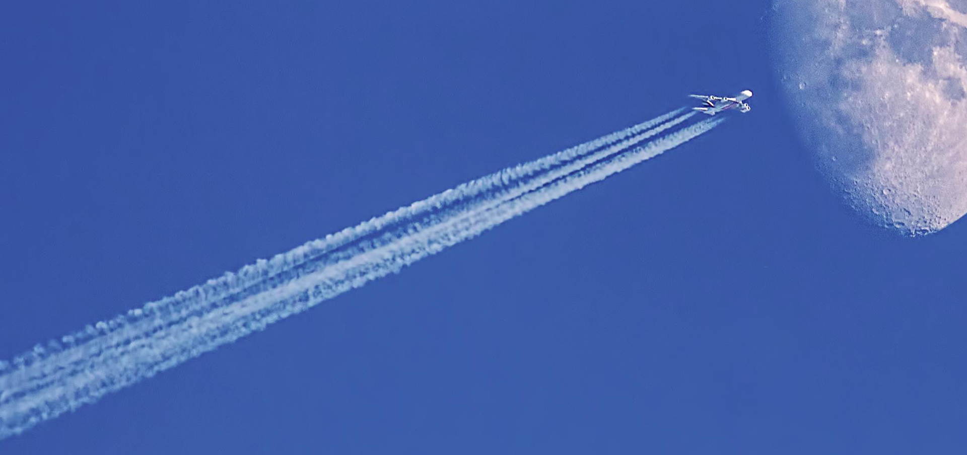 fast track bsn program in connecticut