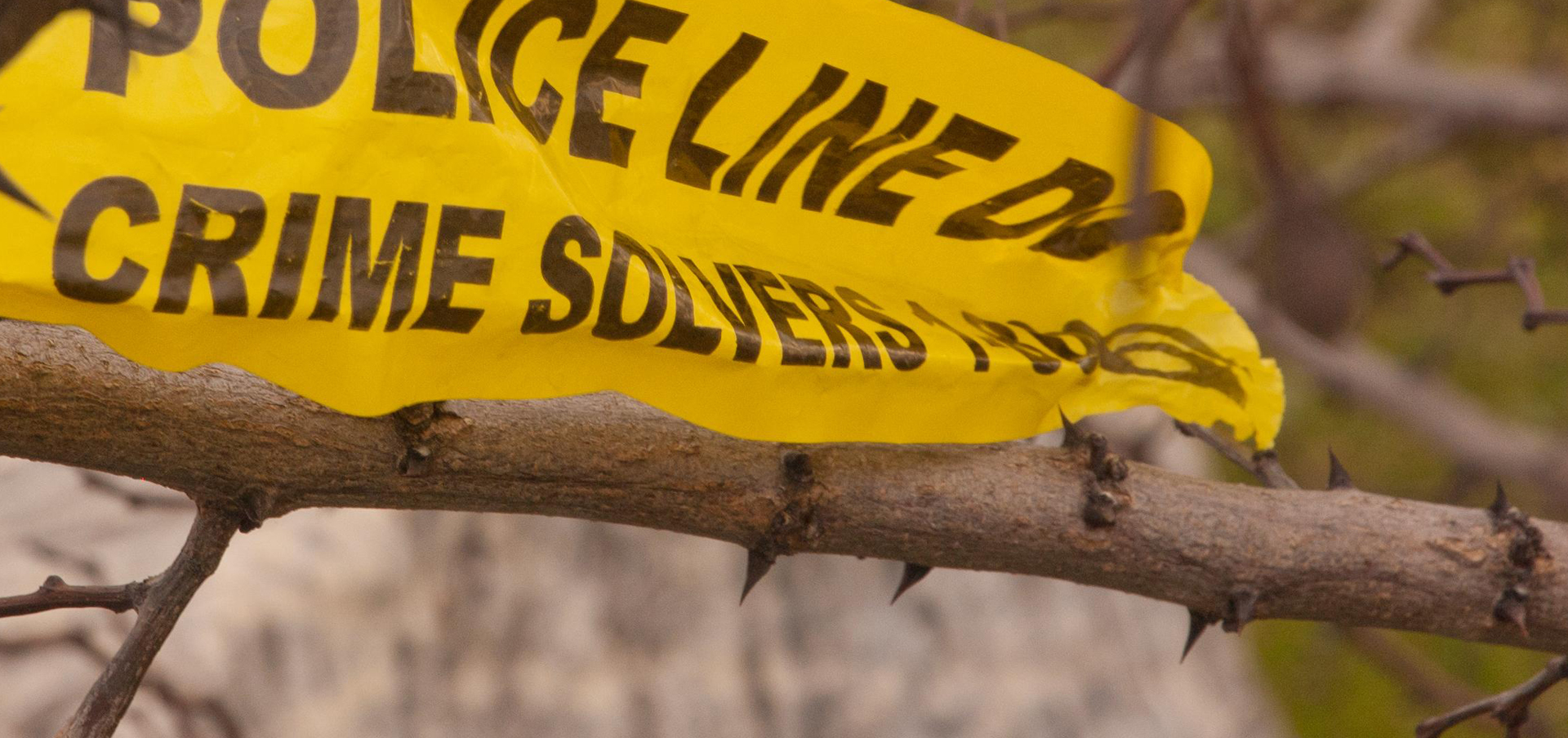 criminal investigator training in ct