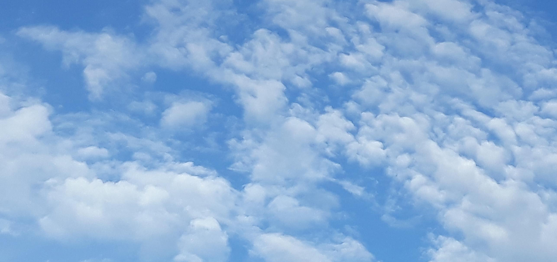 bsn requirements in connecticut