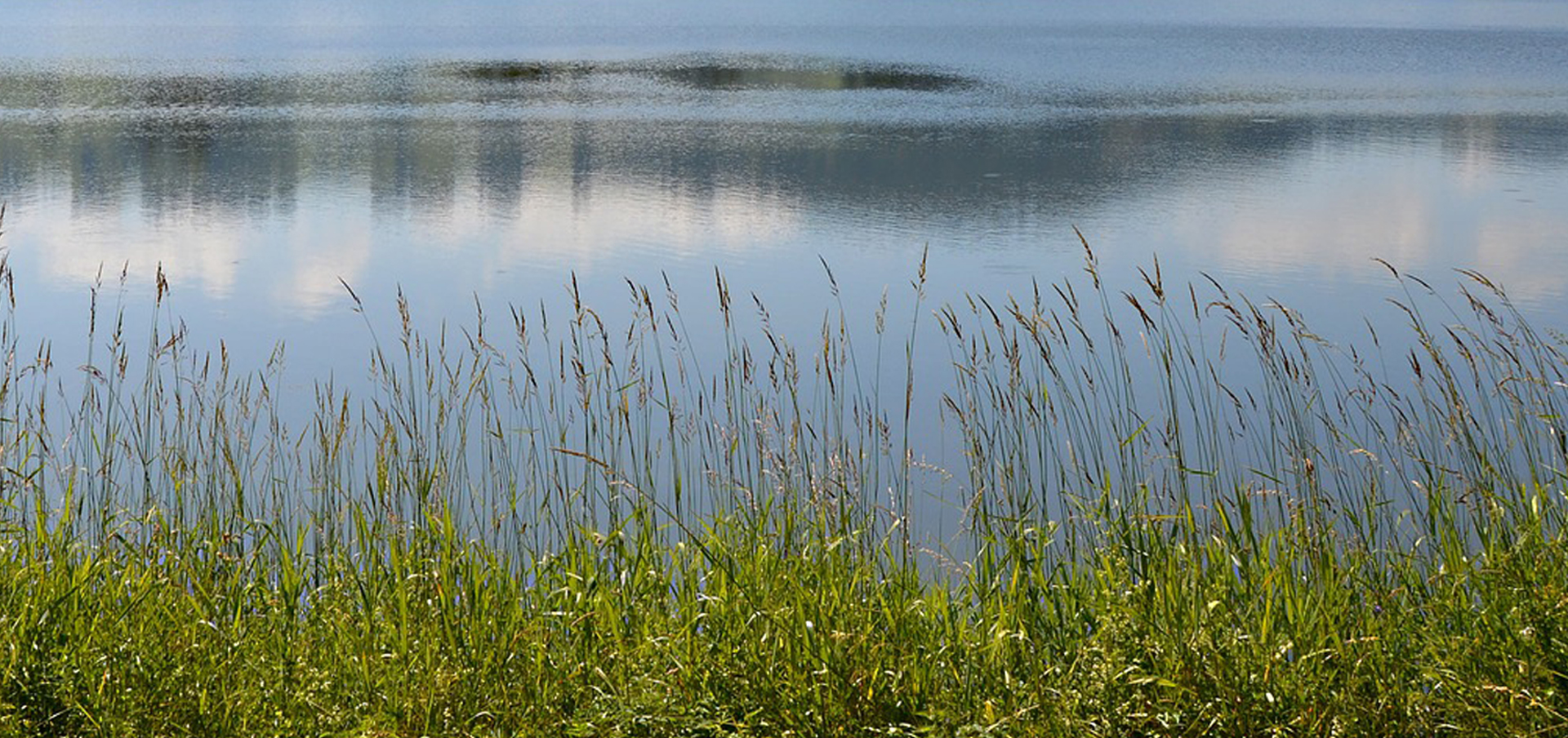 what do public health workers do