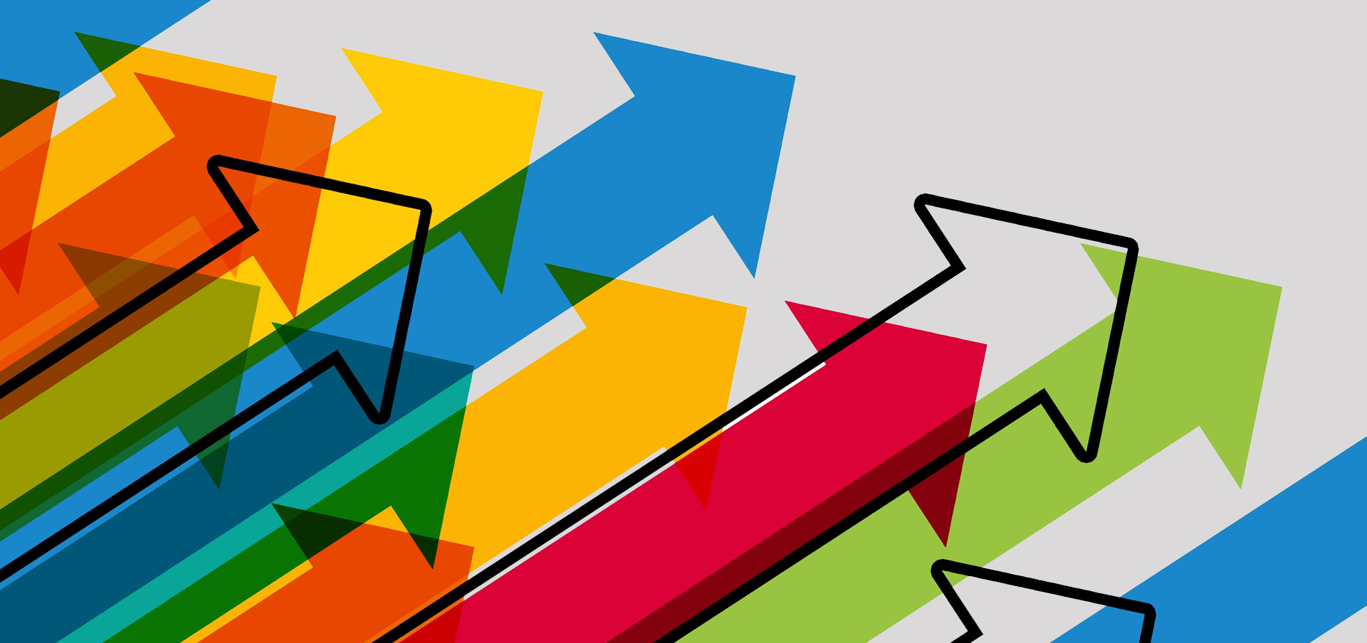 leadership college degree in connecticut