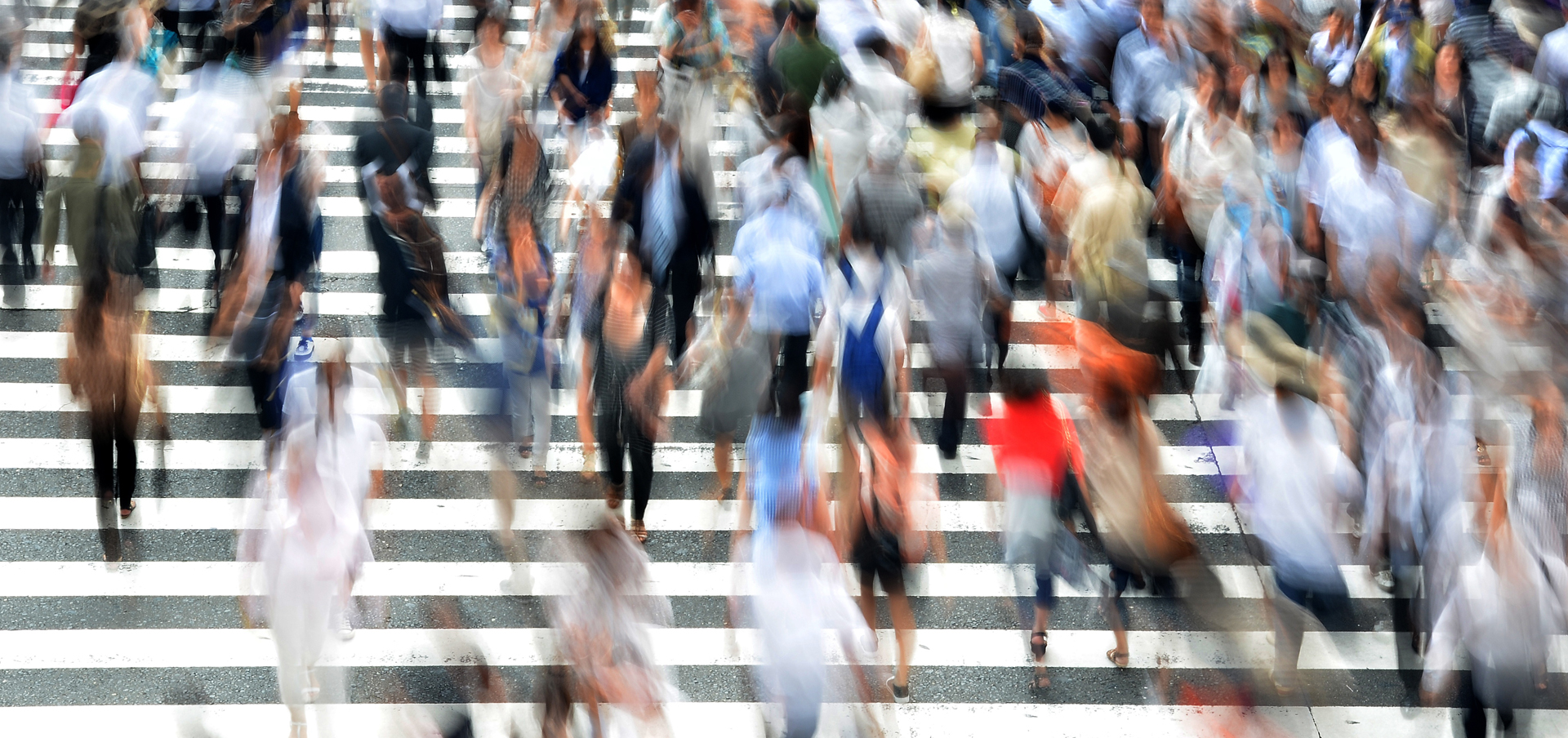 msn in population health