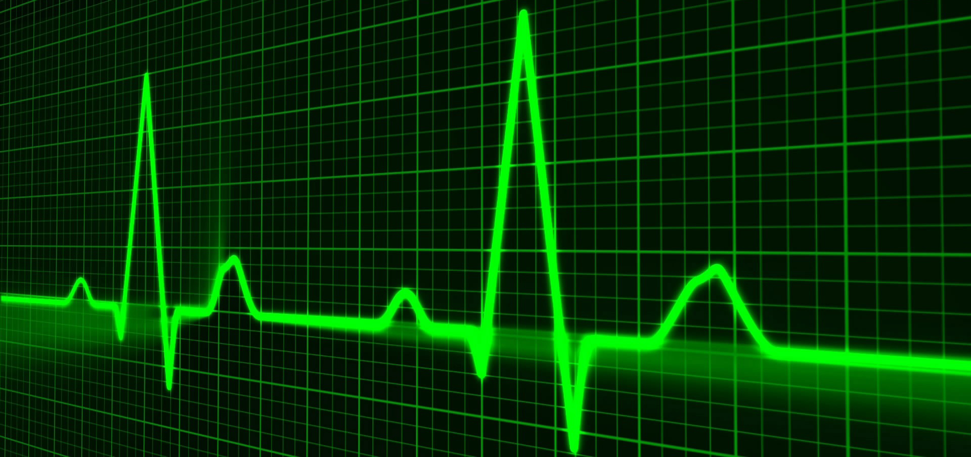 rn to bsn online program