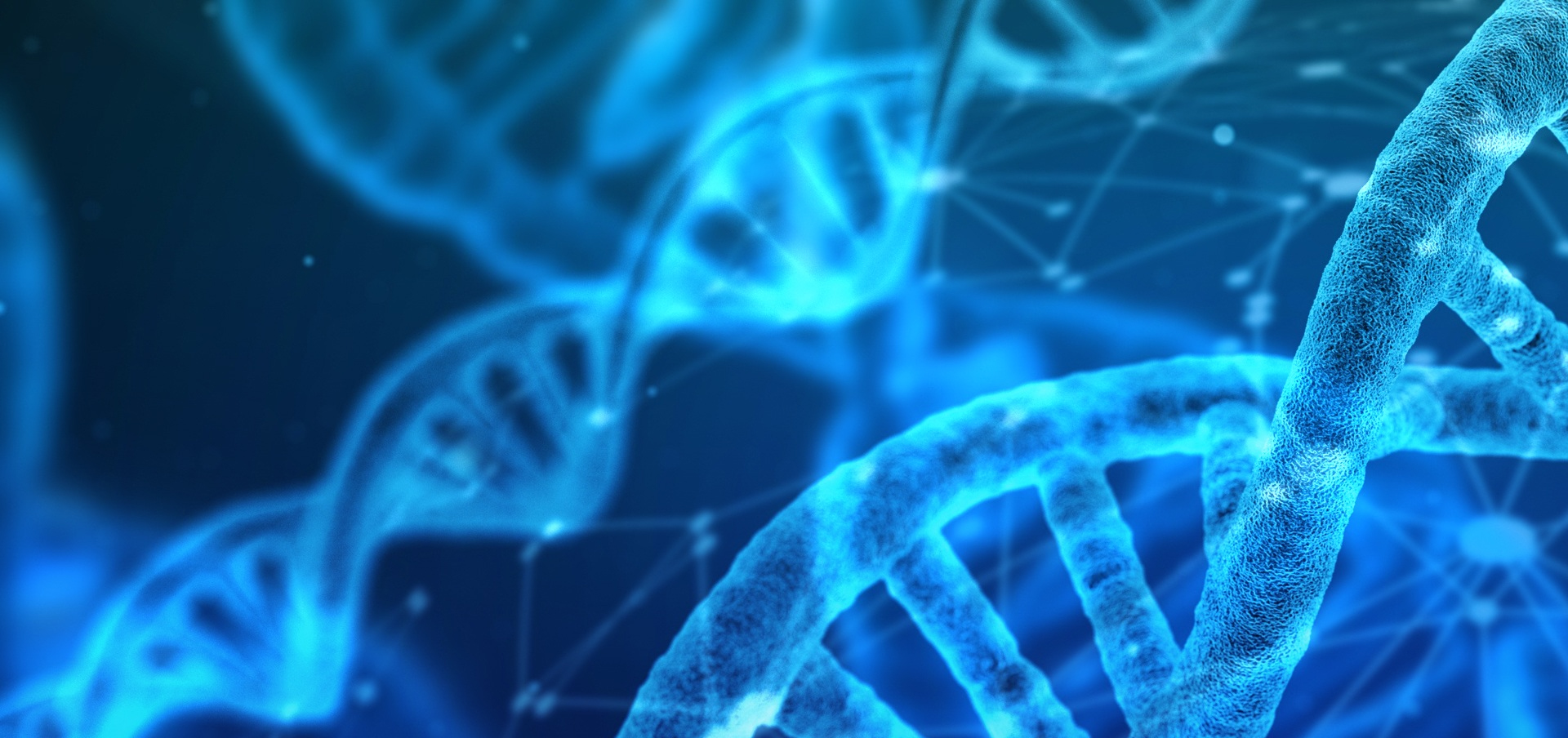 msn degree program online