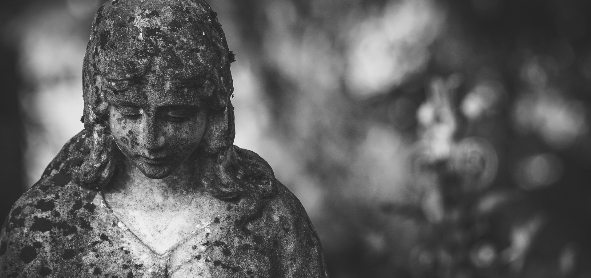 connecticut mortuary science program