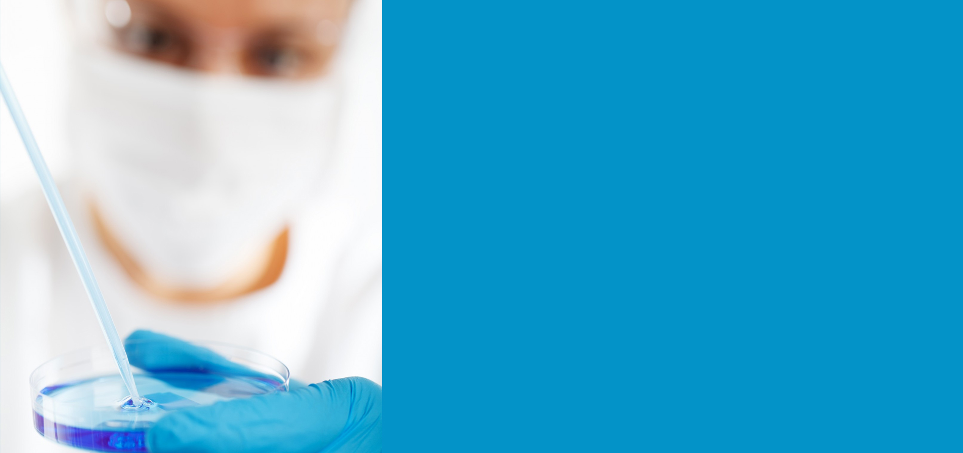 msn education connecticut