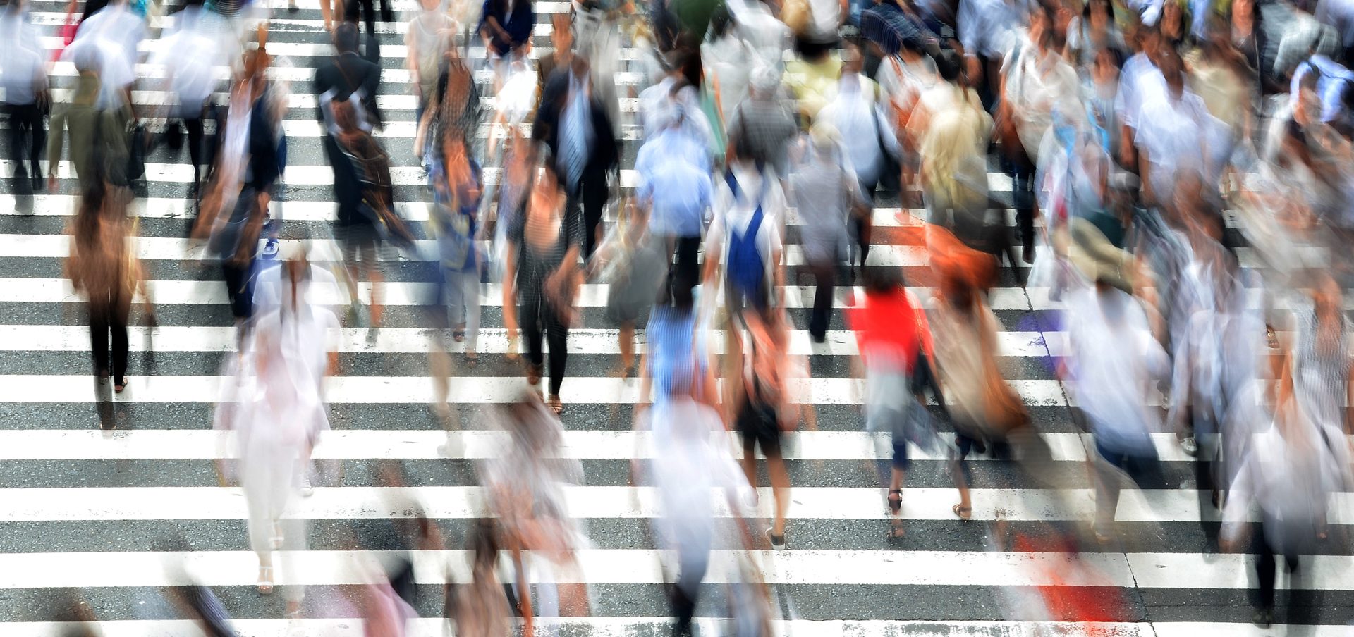 mph degree program connecticut