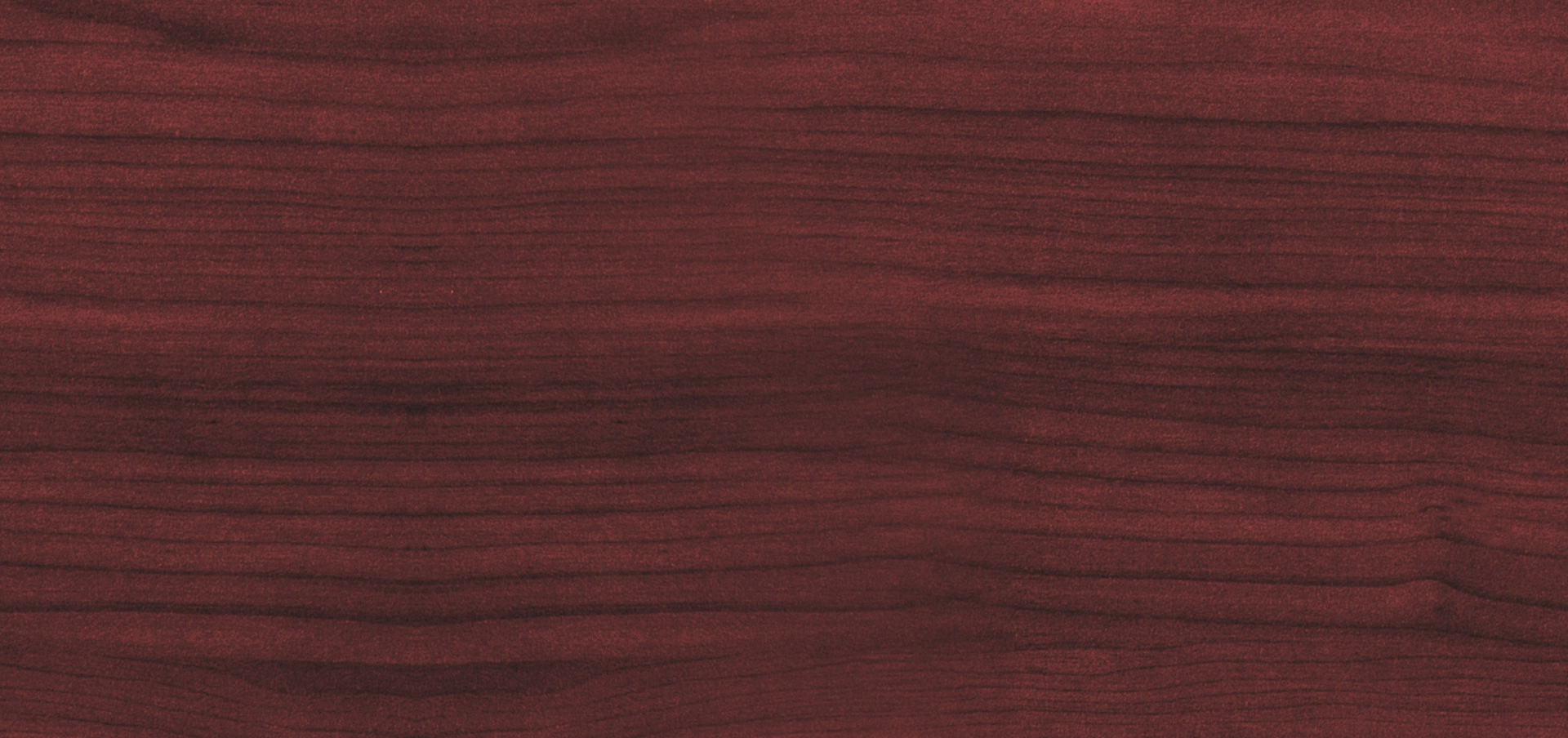 There is more to a funeral service career than what meets the eye. Learn what Morticians (also known as Funeral Directors) do on the day-to-day.