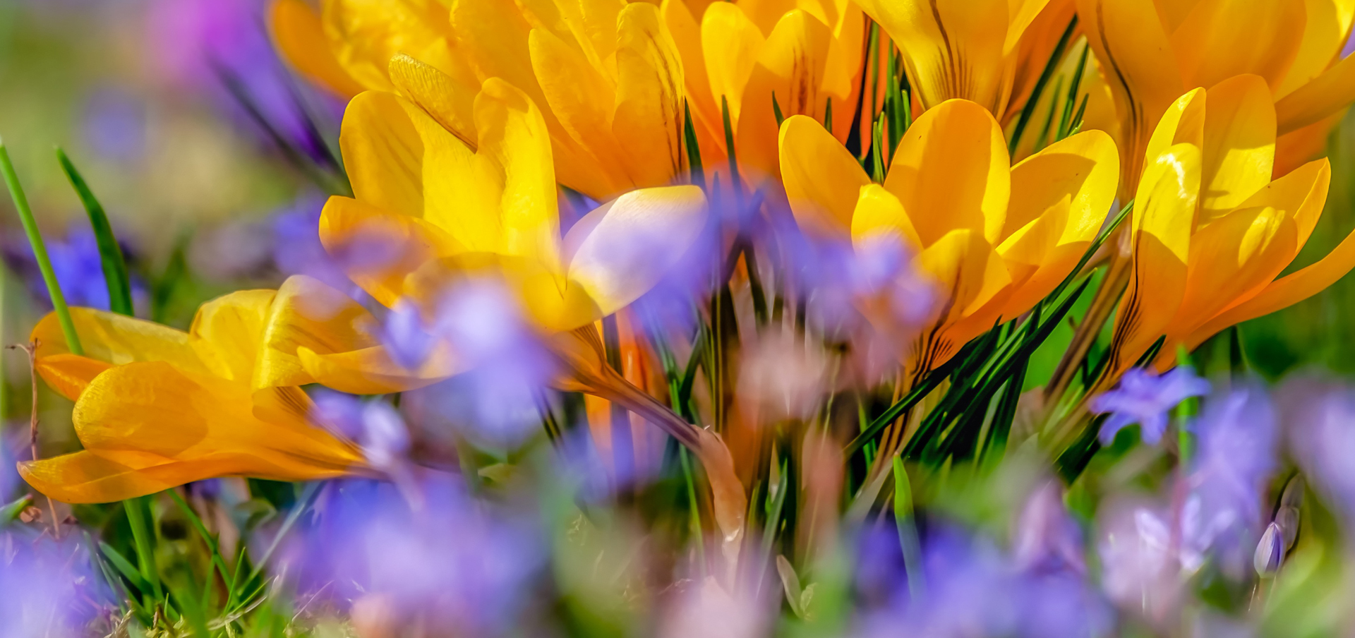 Connecticut Funeral Directors Association scholarships