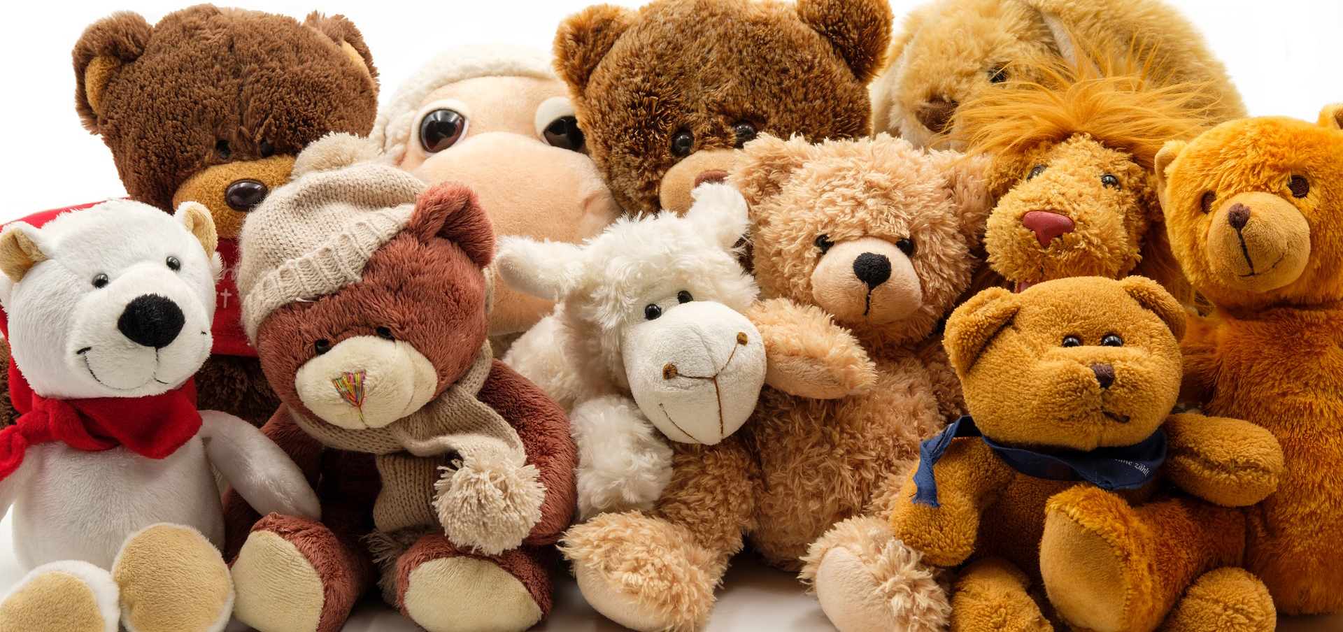 childhood education degree in connecticut