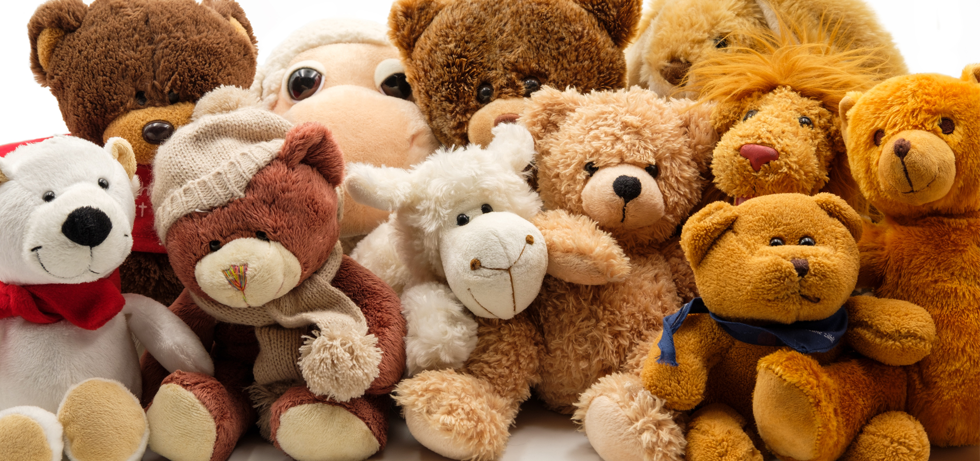 naeyc accreditation standards