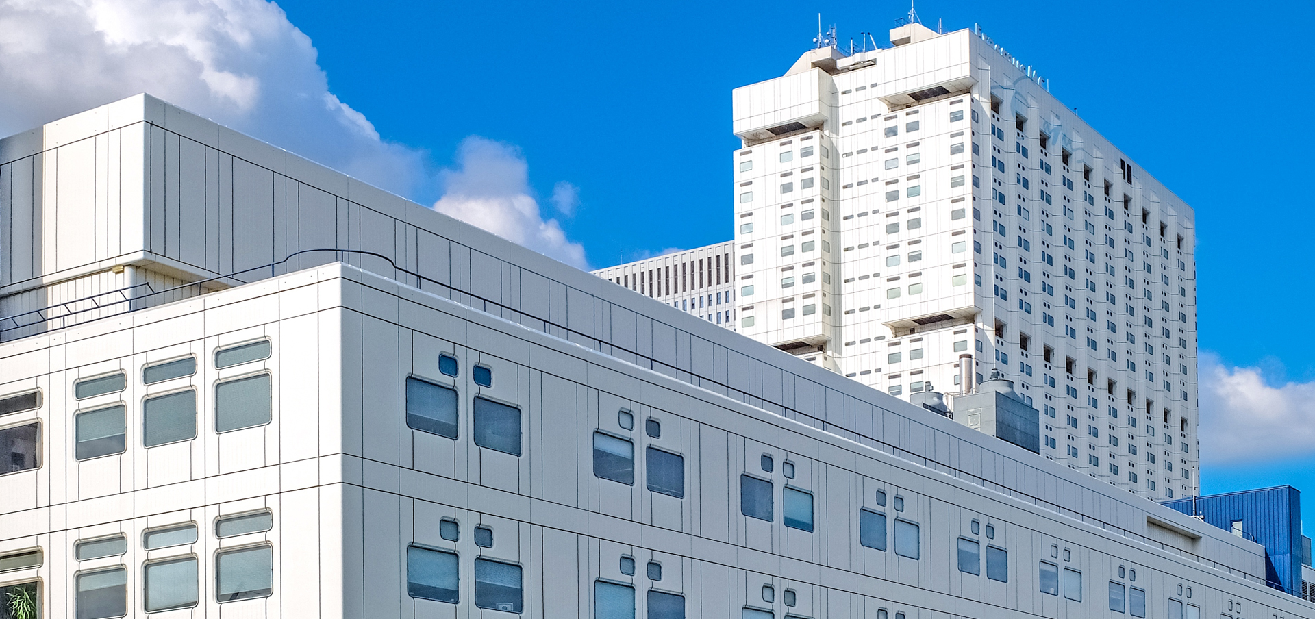 healthcare administration degree options in connecticut