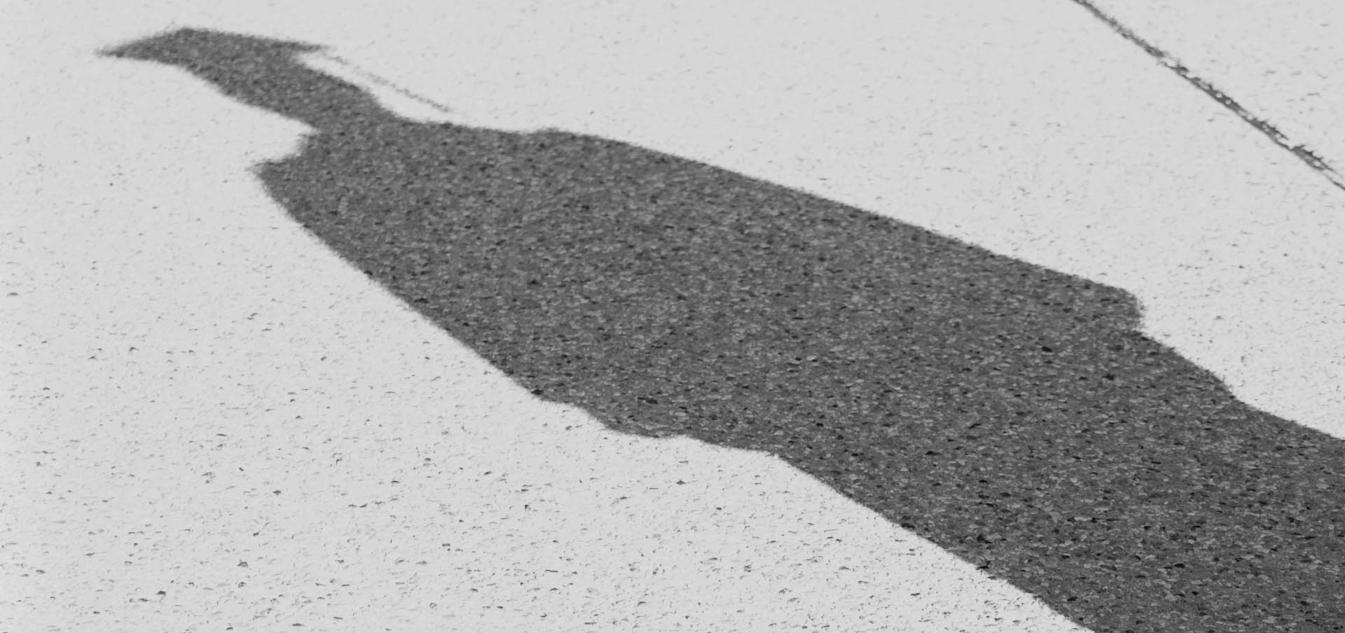 what classes are required for BSN