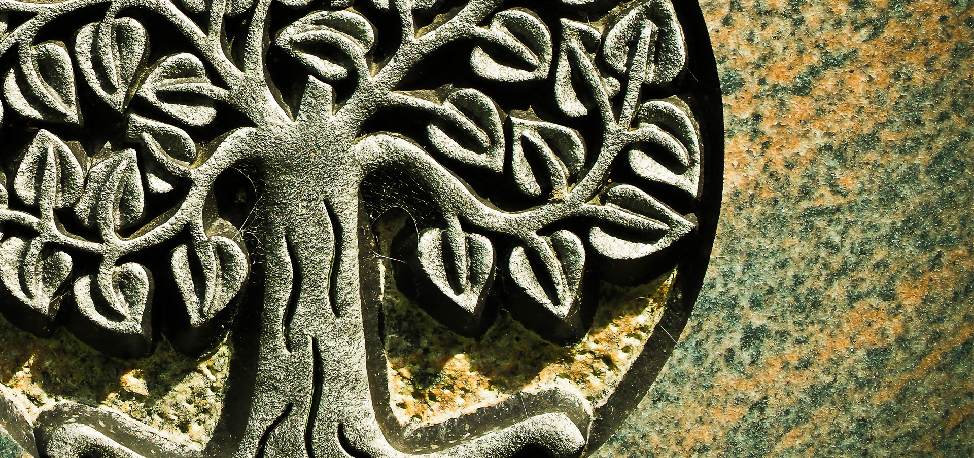 funeral service worker qualifications in connecticut