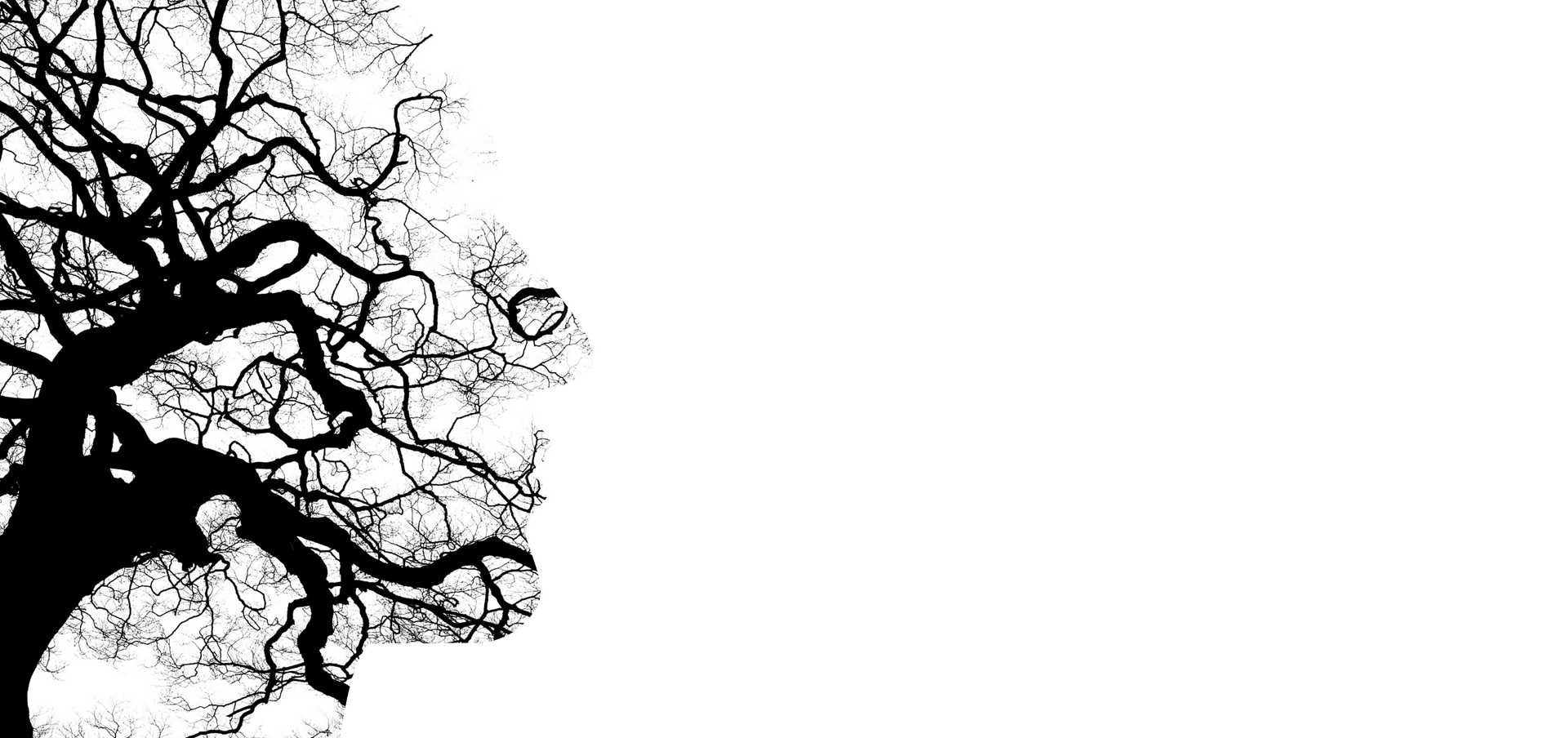 study psychiatric nursing in connecticut