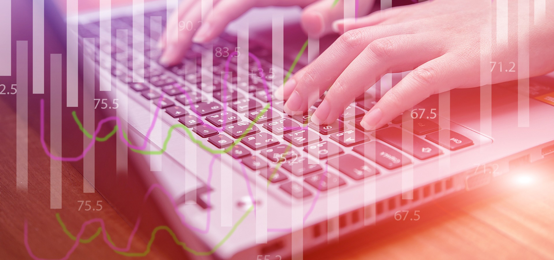 family nurse practitioner online program