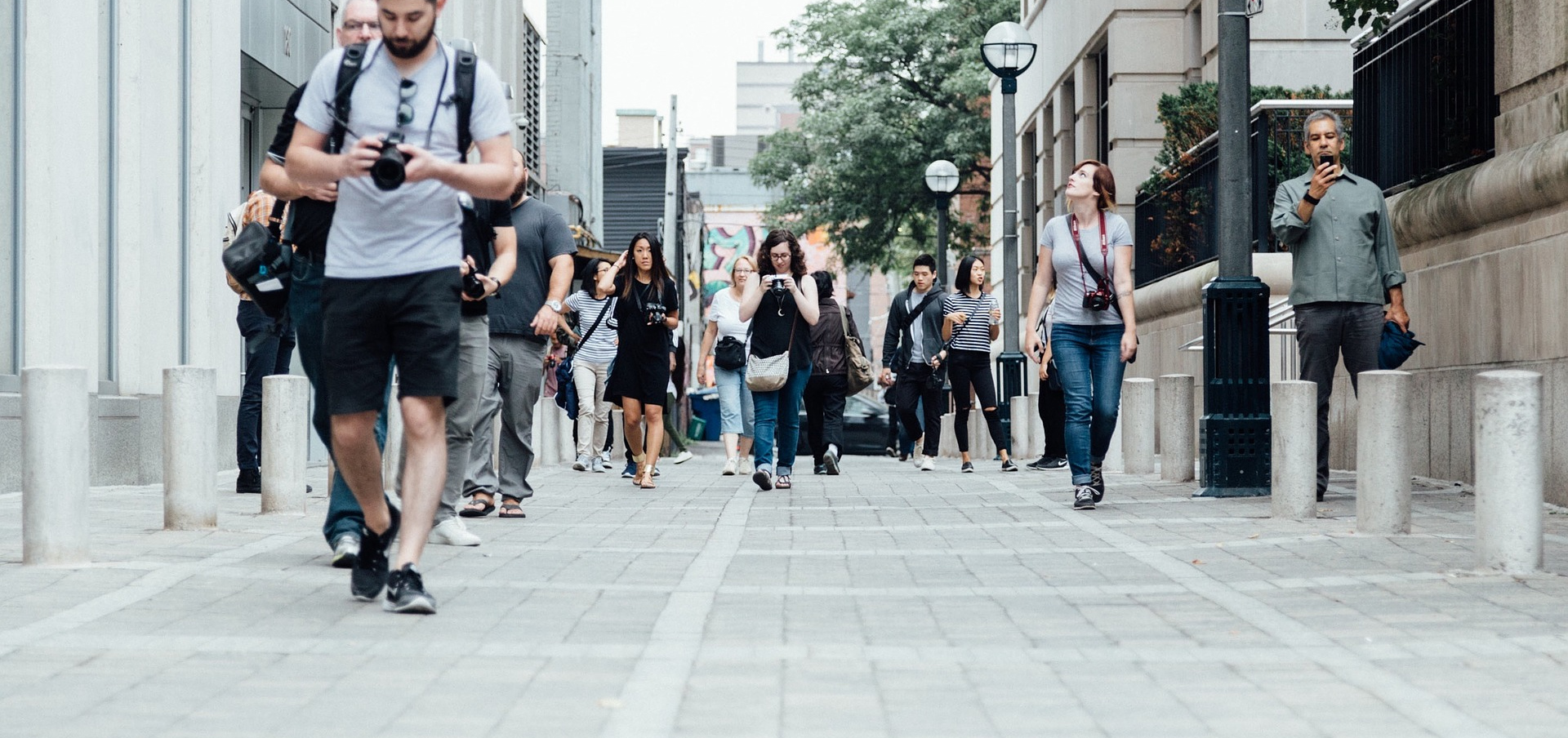 Public Health Director education requirements