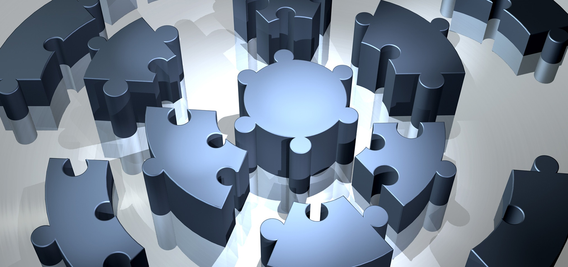 organizational leadership career examples