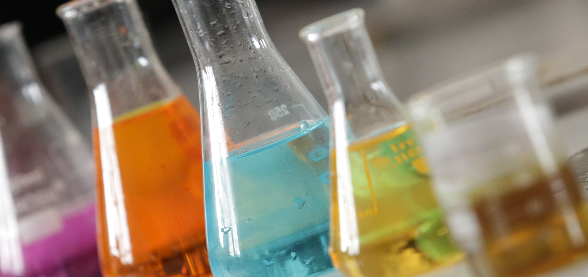 degrees similar to nursing