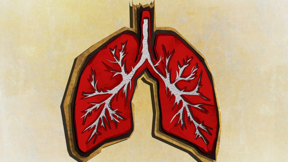 importance of respiratory therapists