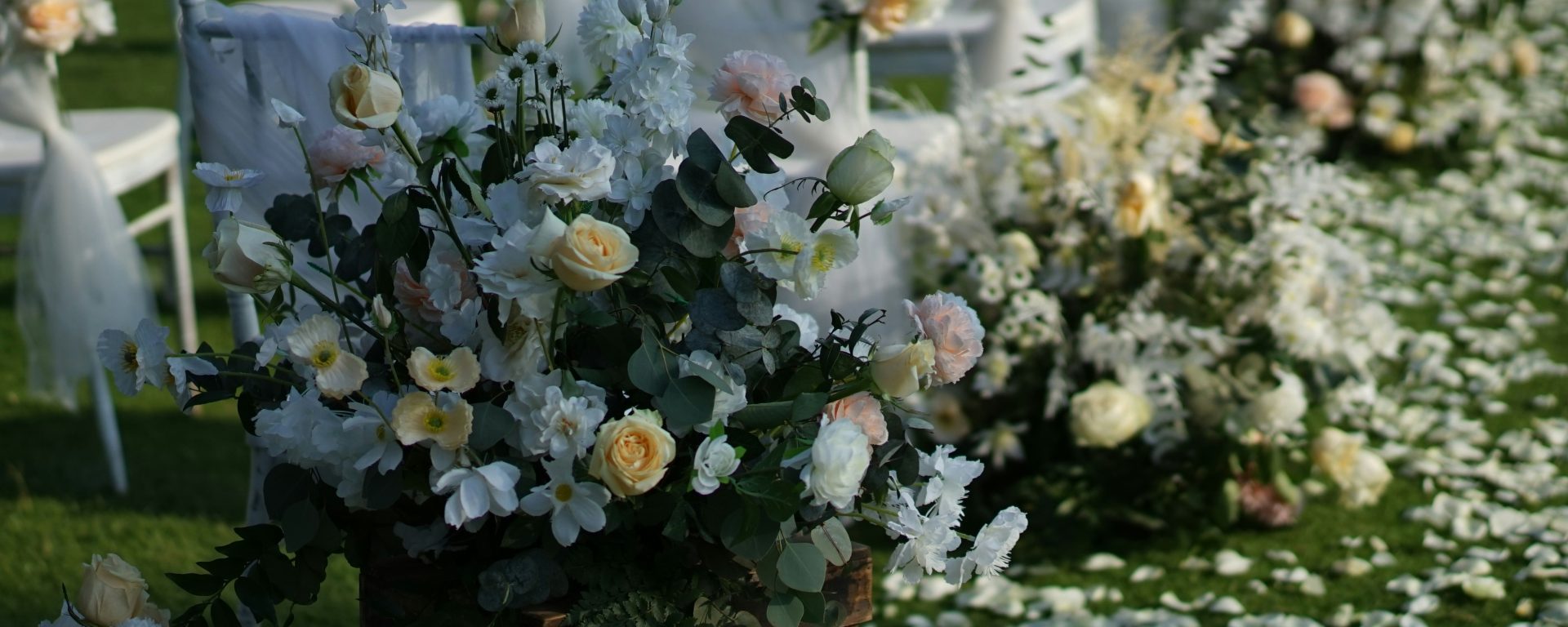 What can you do with a funeral service degree