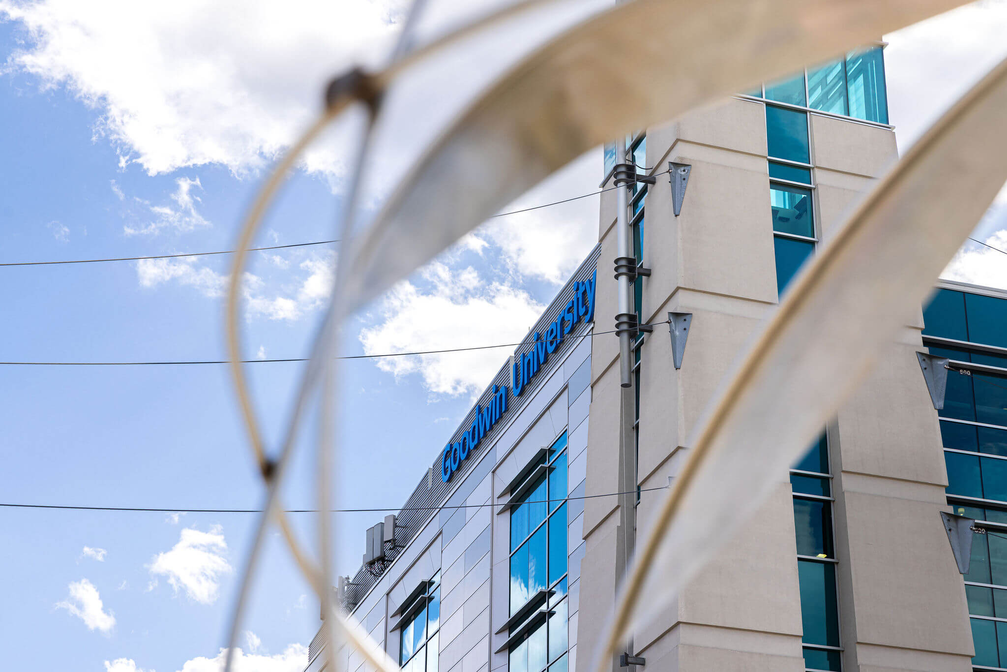 m.ed. teacher leadership program faculty director