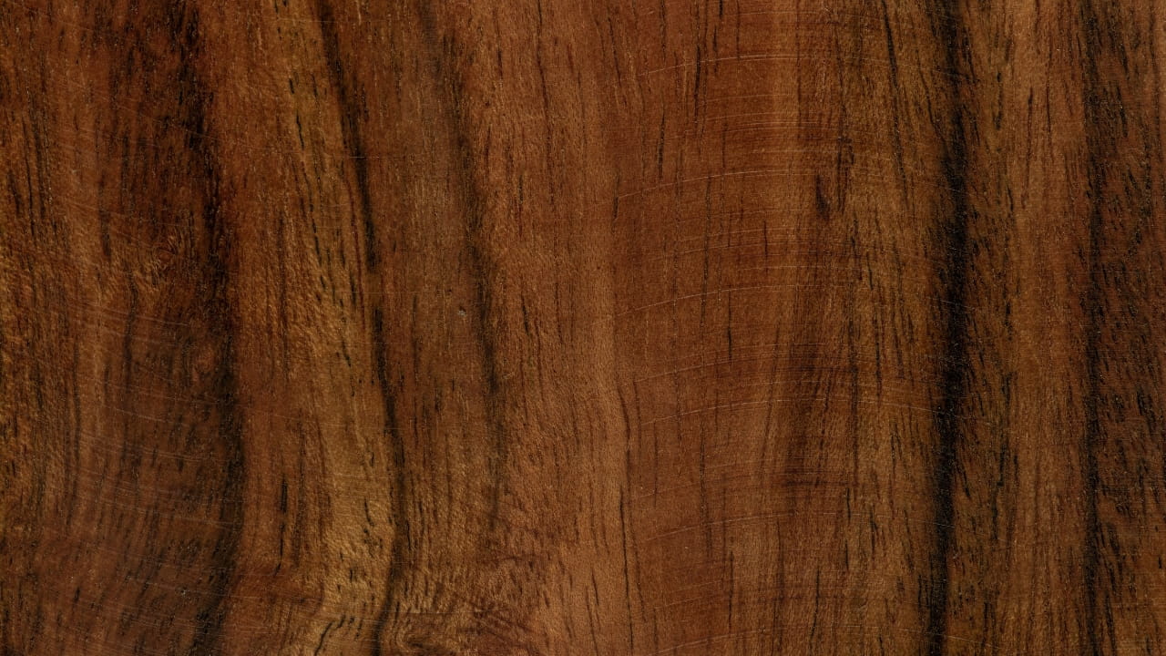 mortuary science online courses