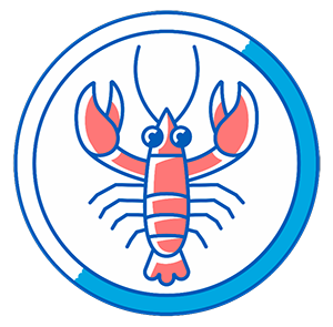 lobster illustration