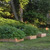 Garden Photo thumbnail 1