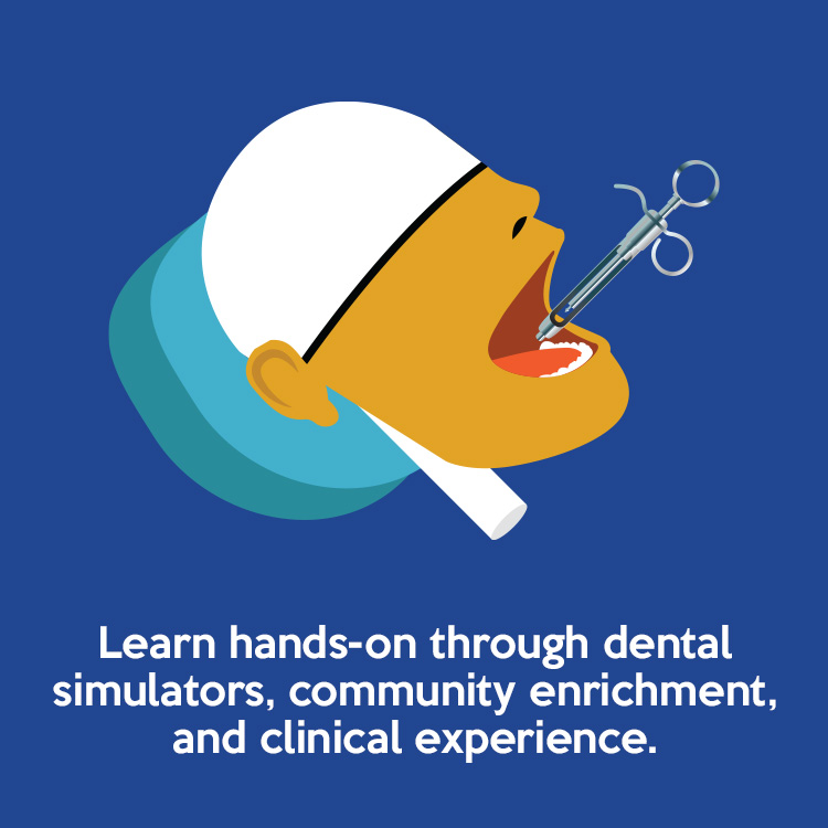 Learn hands-on through dental simulators, community enrichment, and clinical experience.