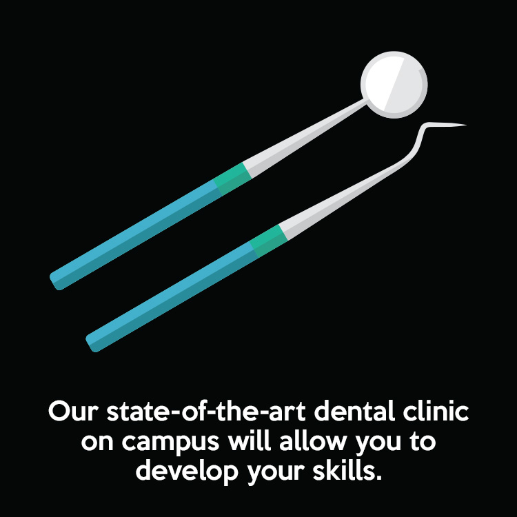 Our state-of-the-art dental clinic on campus will allow you to develop your skills.
