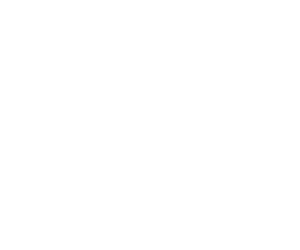 monitor icon