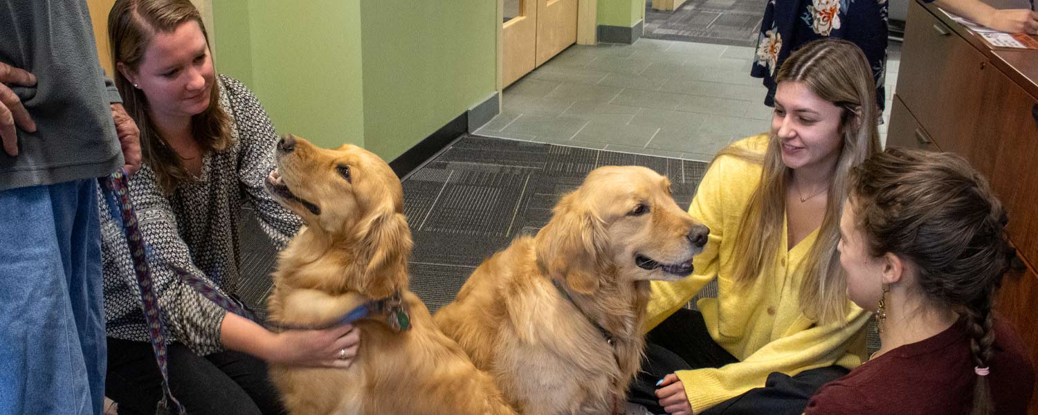 Goodwin students enjoying a visit from therapy dogs